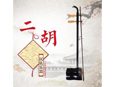 招聘阳江二胡家教老师